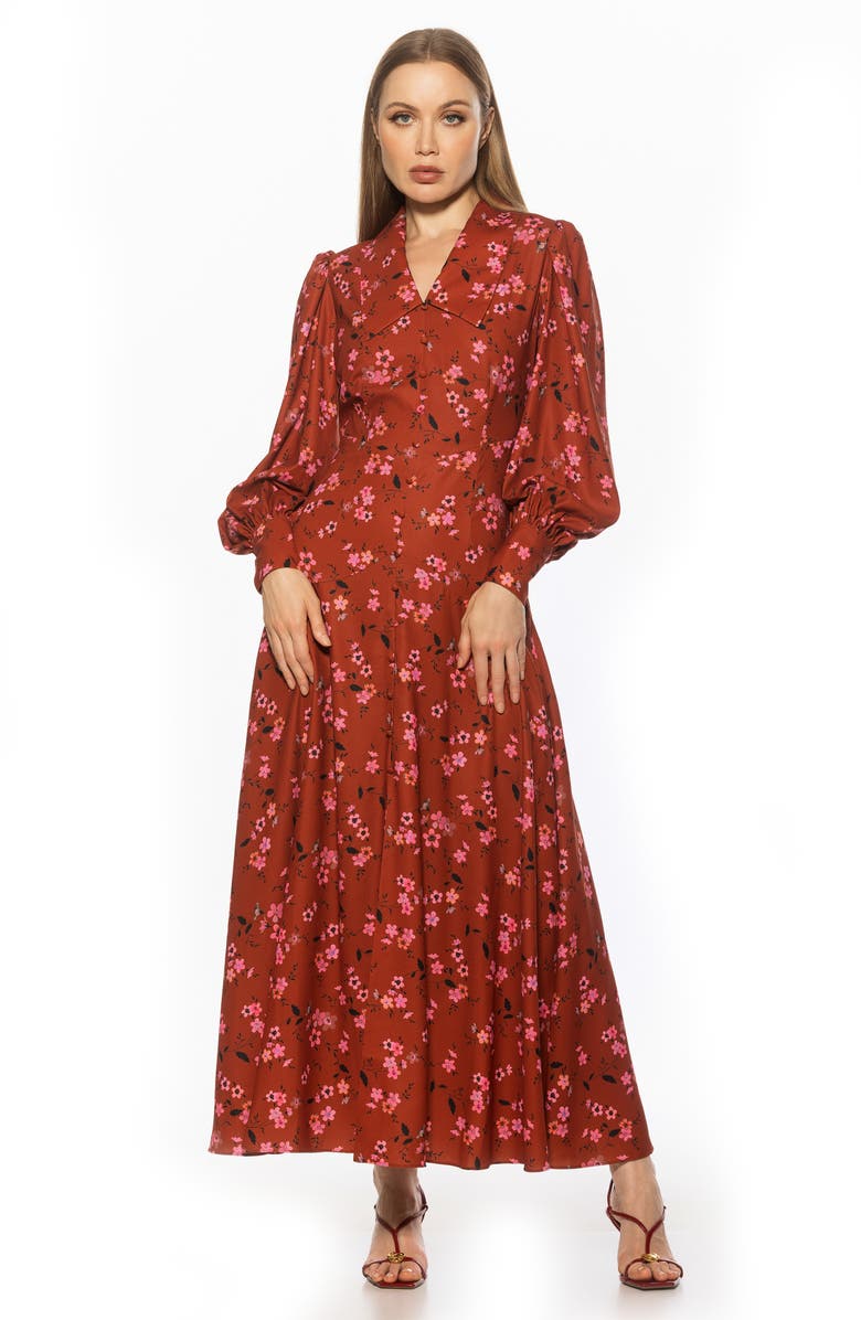 Alexia Admor Kate Collared Long Sleeve Maxi Dress