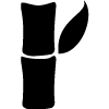 Tasman II